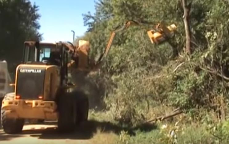 roadway maintenance crew trimming trees
